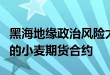 黑海地缘政治风险太高芝商所据称考虑推出新的小麦期货合约