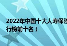 2022年中国十大人寿保险排名（2022中国人寿保险公司排行榜前十名）