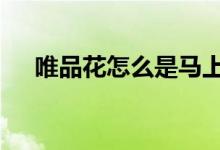 唯品花怎么是马上金融 唯品花怎么关闭