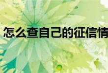 怎么查自己的征信情况（怎么查自己的征信）