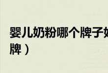 婴儿奶粉哪个牌子好（首选口碑最好的国产品牌）