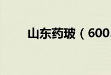 山东药玻（600529）股票股本结构