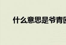 什么意思是爷青回（爷青回是什么梗）