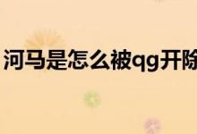 河马是怎么被qg开除的（河马是怎么睡觉的）