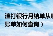 渣打银行月结单从哪里查（渣打银行信用卡的账单如何查询）