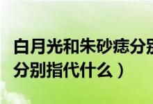 白月光和朱砂痣分别指什么（白月光和朱砂痣分别指代什么）