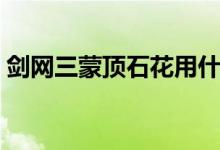 剑网三蒙顶石花用什么泡（剑网三蒙顶石花）