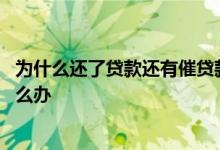 为什么还了贷款还有催贷款的短信 没有贷款收到贷款短信怎么办