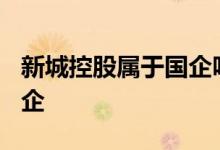 新城控股属于国企吗? 新城控股是央企还是国企 