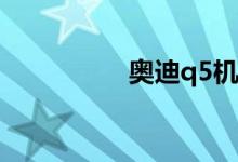  奥迪q5机油位如何检查 