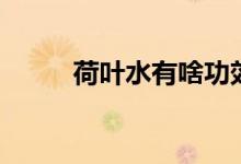 荷叶水有啥功效（荷叶水如何泡）