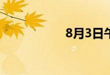 8月3日午间涨停分析