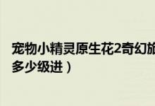宠物小精灵原生花2奇幻旅程攻略（宠物小精灵原生花2宠物多少级进）