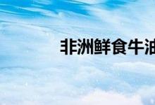 非洲鲜食牛油果首次出口中国