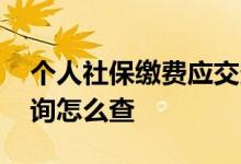 个人社保缴费应交多少 个人社保缴费明细查询怎么查 