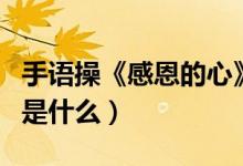 手语操《感恩的心》（感恩的心手语操的歌词是什么）