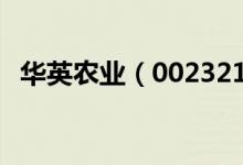 华英农业（002321）（2019年项目进度）