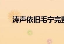 涛声依旧毛宁完整版（涛声依旧毛宁）