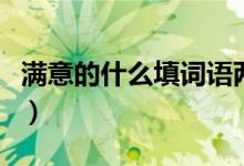 满意的什么填词语两个字（满意的什么填词语）