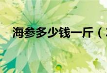 海参多少钱一斤（2019年最新海参价格）