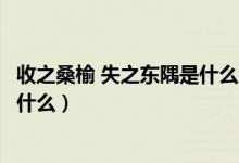 收之桑榆 失之东隅是什么意思（失之东隅收之桑榆的原意是什么）