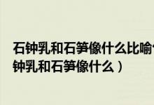 石钟乳和石笋像什么比喻句（用有的像有的像有的像写出石钟乳和石笋像什么）