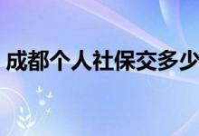 成都个人社保交多少钱 五险交多少钱一个月 