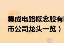 集成电路概念股有哪些（2022年集成电路上市公司龙头一览）