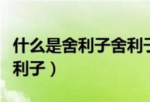 什么是舍利子舍利子是怎么形成的（什么是舍利子）