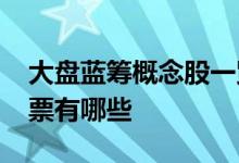 大盘蓝筹概念股一览2021年大盘蓝筹概念股票有哪些