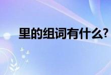 里的组词有什么?（里的组词都有哪些）