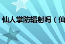 仙人掌防辐射吗（仙人掌是不是防辐射植物）