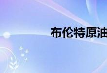 布伦特原油日内跌幅达2%