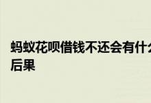 蚂蚁花呗借钱不还会有什么后果 在花呗上借钱不还会有什么后果
