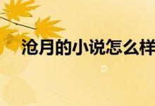 沧月的小说怎么样（沧月的小说有哪些）