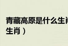 青藏高原是什么生肖（欲钱看青藏高原是什么生肖）