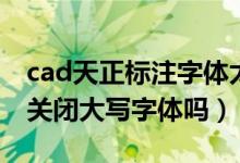 cad天正标注字体太大（cad输入正负号必须关闭大写字体吗）
