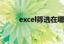 excel筛选在哪（excel筛选在哪）