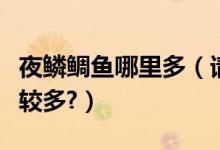 夜鳞鲷鱼哪里多（请问哪出新鲜的夜鳞鲷鱼比较多?）