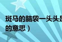 斑马的脑袋一头头是道（斑马的脑袋头头是道的意思）