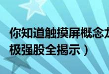 你知道触摸屏概念龙头股有哪些（触摸屏概念极强股全揭示）