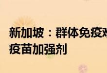 新加坡：群体免疫难以实现考虑定期接种新冠疫苗加强剂