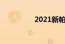  2021新帕萨特隐藏功能 