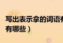 写出表示拿的词语有哪些（表示说、拿的词语有哪些）