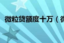微粒贷额度十万（微粒贷给了我10万额度）