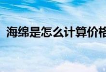 海绵是怎么计算价格（海绵是怎么做成的?）