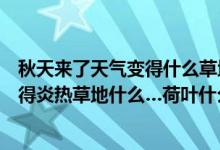 秋天来了天气变得什么草地什么荷叶什么（夏天到了天气变得炎热草地什么…荷叶什么怎么写）