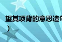 望其项背的意思造句（望其项背的意思是什么）