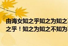 由诲女知之乎知之为知之不知为不知是知也感悟（由诲女知之乎！知之为知之不知为不知是知也）