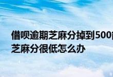借呗逾期芝麻分掉到500能还了再借? 之前借呗逾期过现在芝麻分很低怎么办